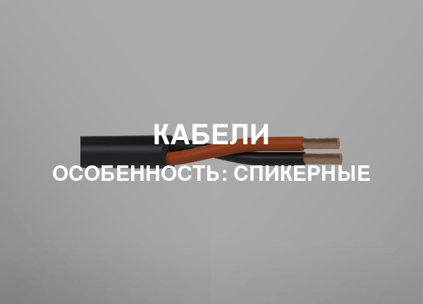 Особенность: Спикерные