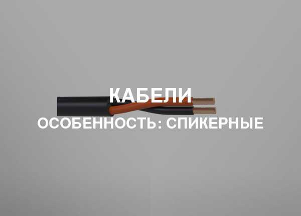 Особенность: Спикерные